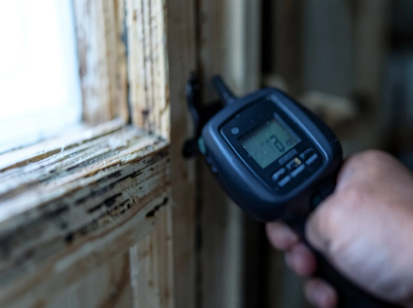 Moisture Inspection And Documentation in Jayton, TX